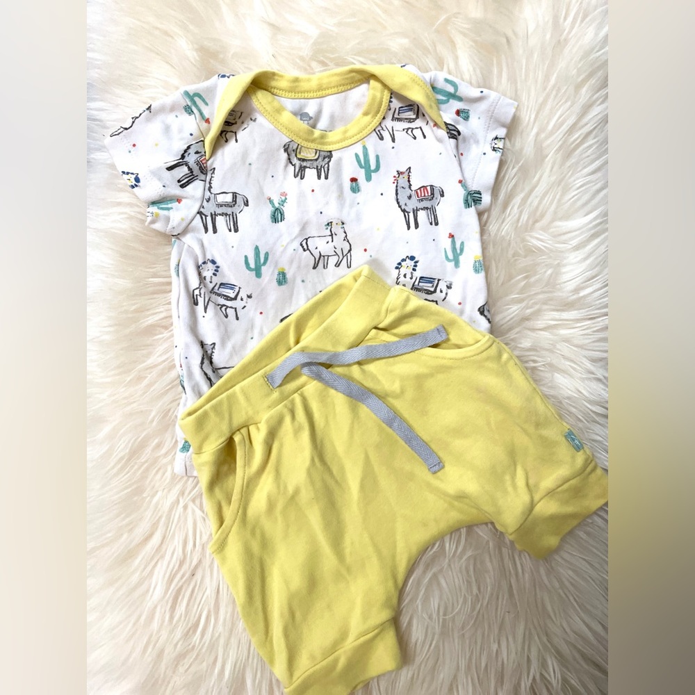 Organic Finn & Emma Shorts and T-Shirt llama Outfit 6-9M GUC